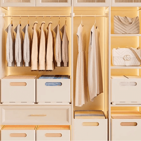 Clothes Storage Organizer