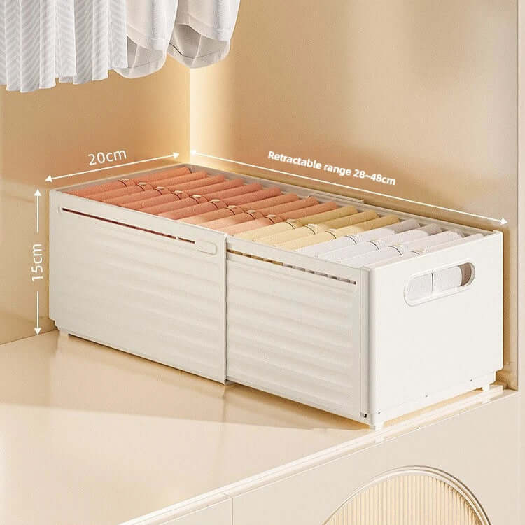 Clothes Storage Organizer